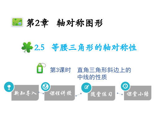 2.5 第3课时 直角三角形斜边上的中线的性质-2020秋苏科版八年级数学上册课件(共13张PPT)