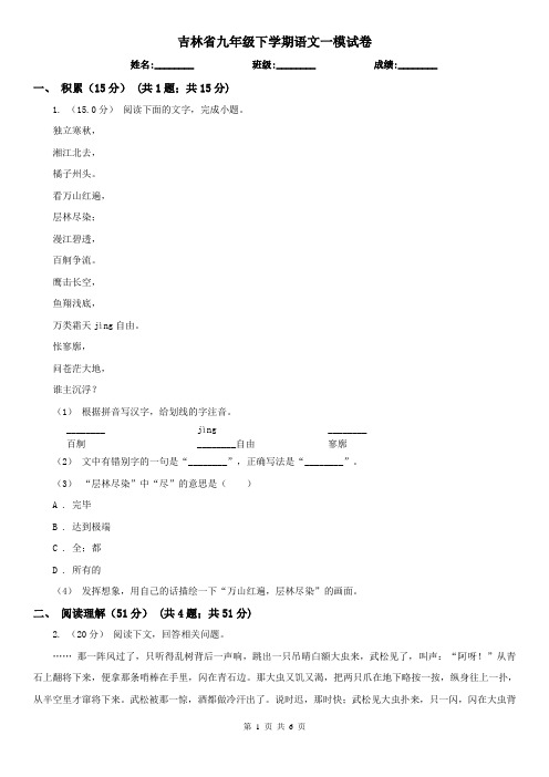 吉林省九年级下学期语文一模试卷