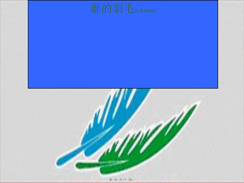 二年级语文上册《谁的羽毛》课件7 语文a语文a小学二年级上册语文课件