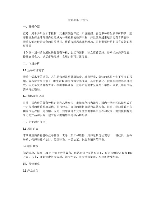 蓝莓创业计划书