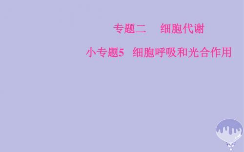 2018年高考生物二轮复习专题二小专题5细胞呼吸和光合作用课件新人教版