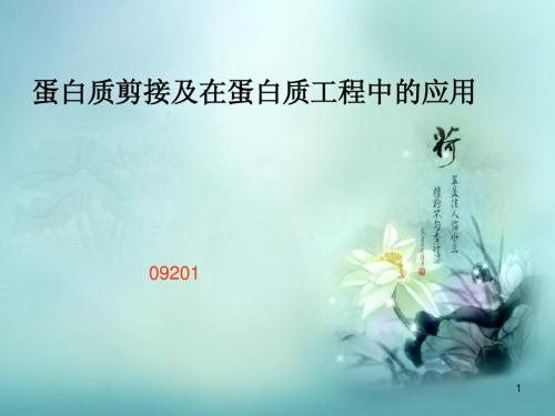蛋白质剪接与在蛋白质工程中应用