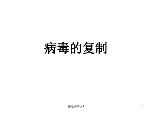 病毒的复制