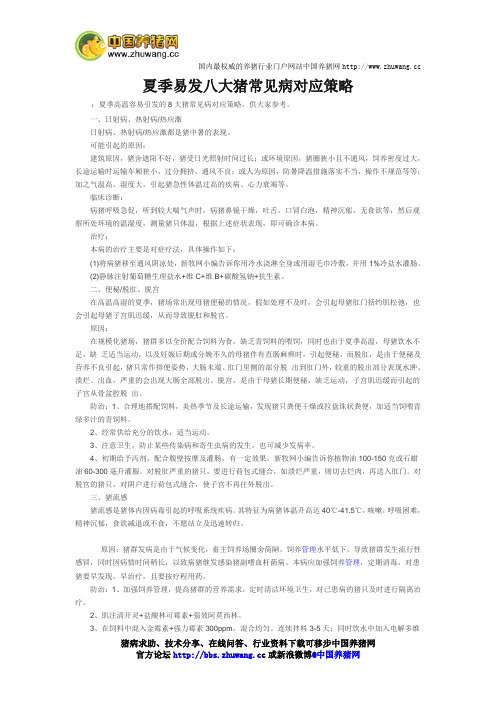 夏季易发八大猪常见病对应策略