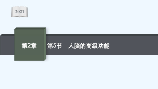 2021_2022学年新教材高中生物第2章神经调节第5节人脑的高级功能课件新人教版选择性必修第一册