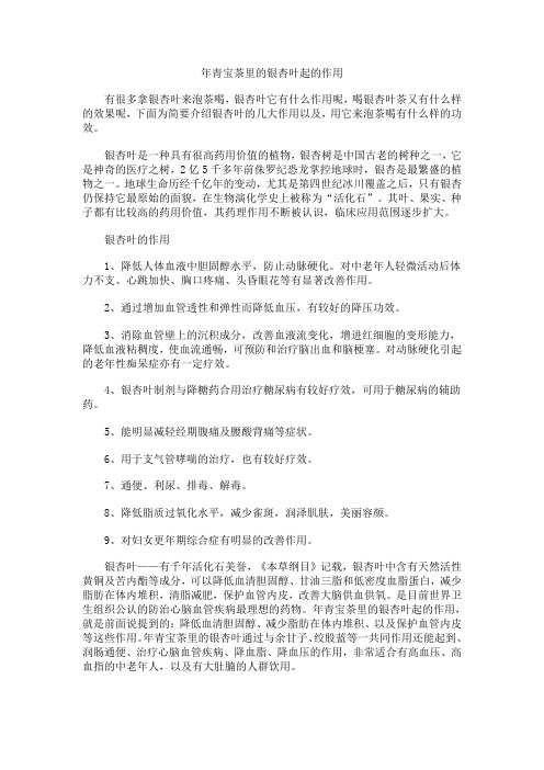 年青宝茶里的银杏叶起的作用