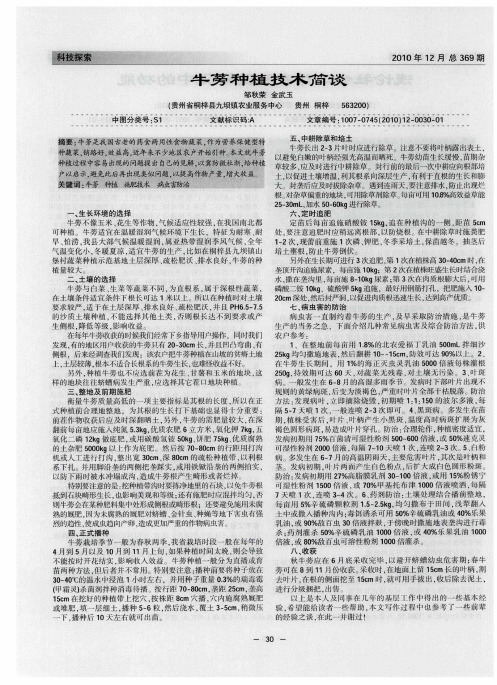 牛蒡种植技术简谈