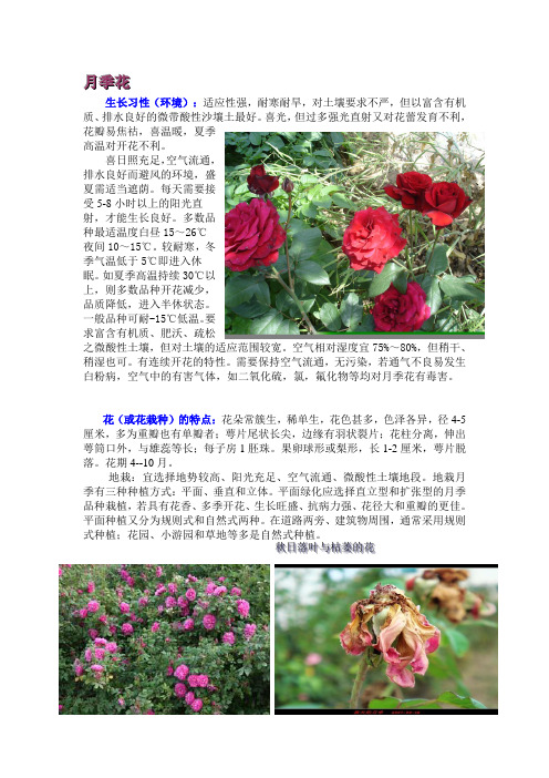 适合湖南生长的植物