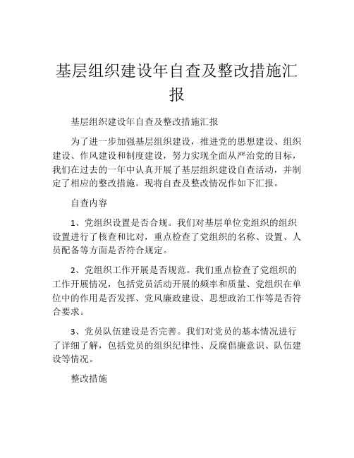 基层组织建设年自查及整改措施汇报