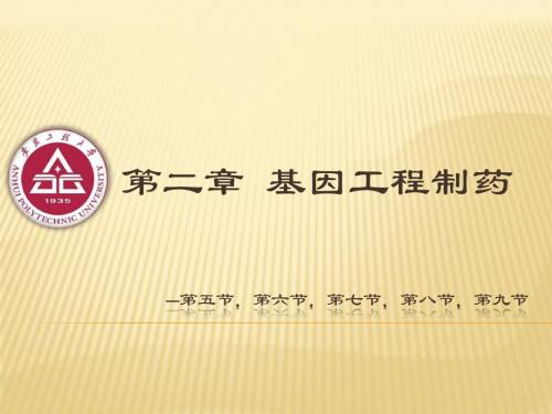 生物制药技术-第二章-基因工程制药(5,6,7,8,9)