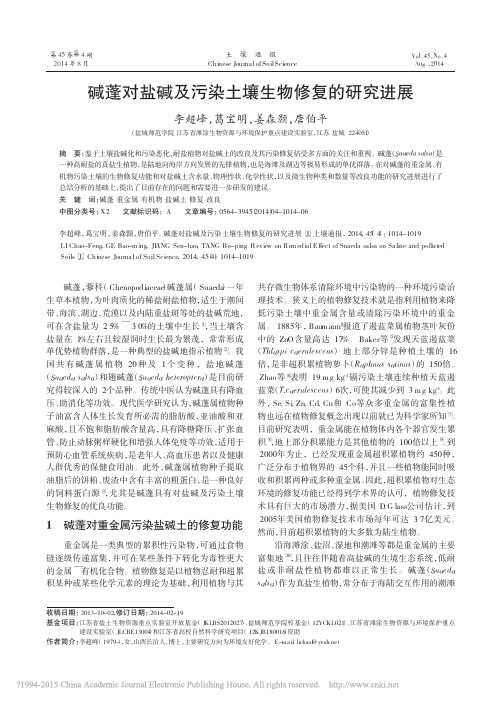 碱蓬对盐碱及污染土壤生物修复的研究进展_李超峰