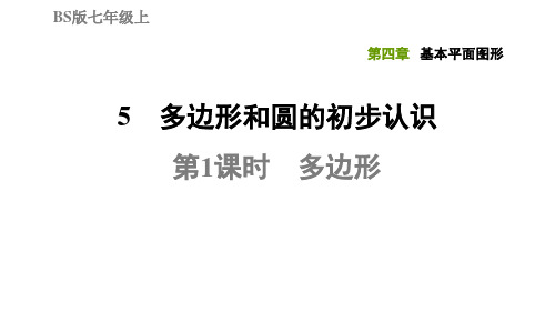 4.5.1多边形-北师大版七年级数学上册典中点习题课件(共18张PPT)