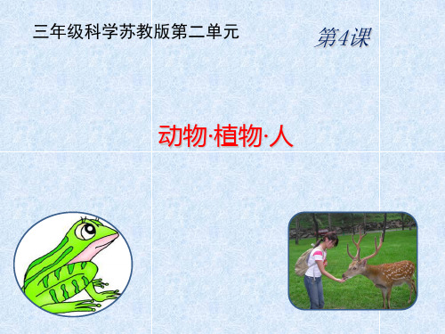 三年级上册科学课件 动物植物人