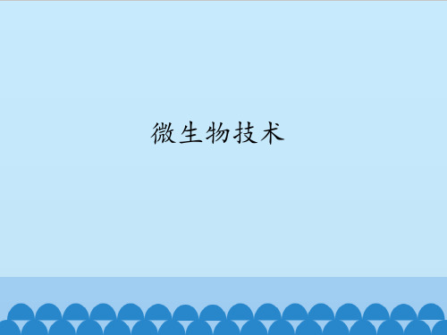 首师大版 六年级下册科学课件微生物技术(共13张PPT)