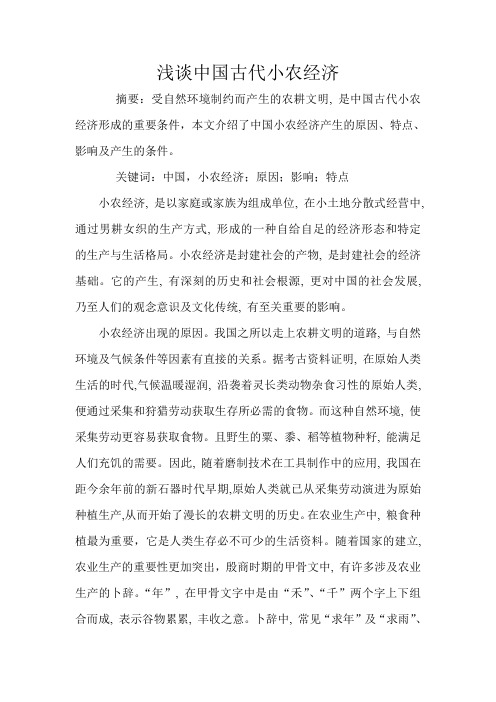 浅谈中国古代小农经济