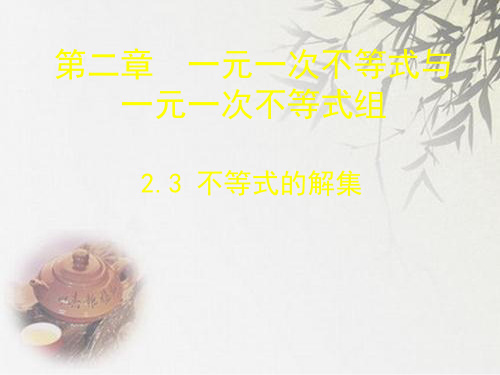 北师大八年级下2.3不等式的解集课件(共16张PPT)