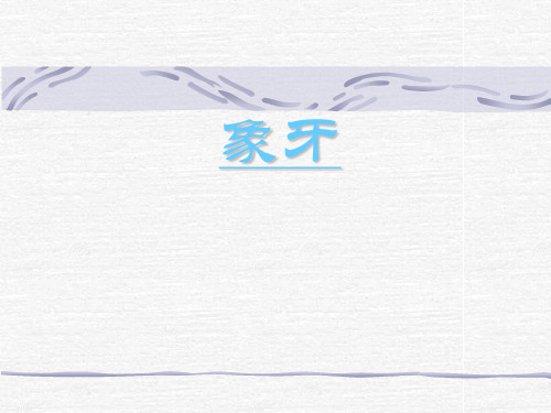 象牙