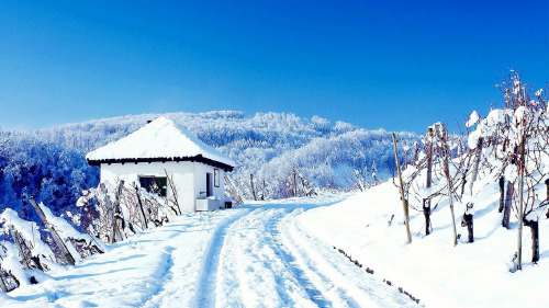 部编版二年级语文上册《20.雪孩子》PPT课件-优秀课件