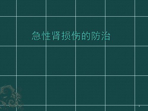 急性肾损伤概述ppt课件