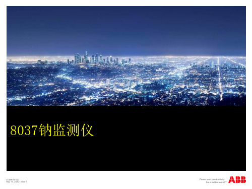 ABB 钠表资料