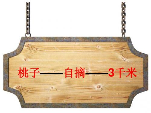 桃林那家小木屋PPT