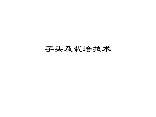 芋头及栽培技术