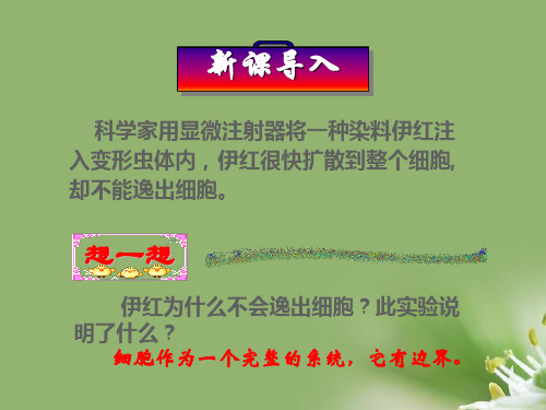 细胞膜——系统的边界ppt78 人教课标版精选教学PPT课件
