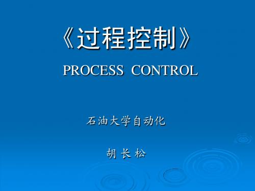 过程控制