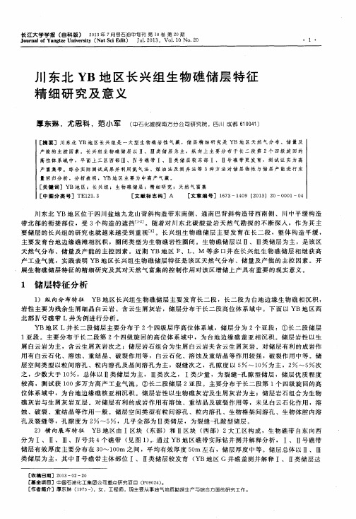 川东北YB地区长兴组生物礁储层特征精细研究及意义