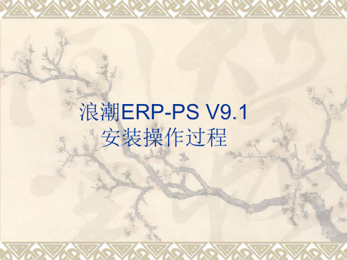 浪潮ERP-PS V9安装操作过程