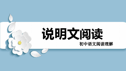 2023年中考语文二轮复习《说明文阅读专题》课件(共115张PPT)