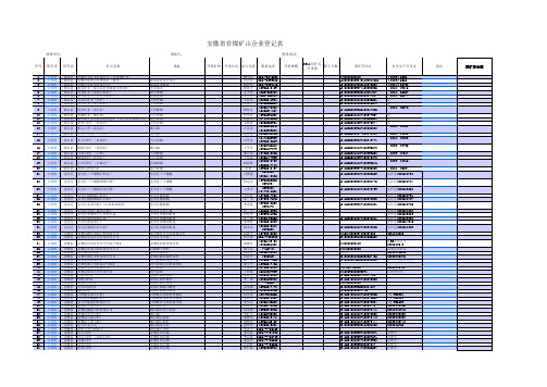 2010年六安市非煤矿山登记表