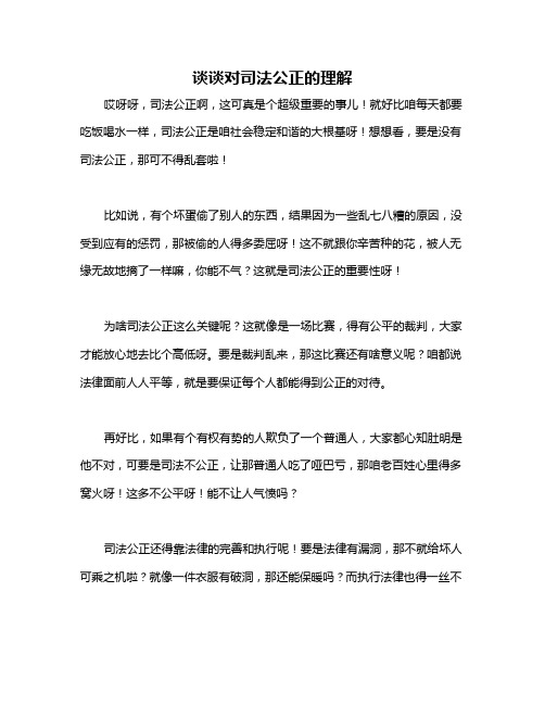 谈谈对司法公正的理解