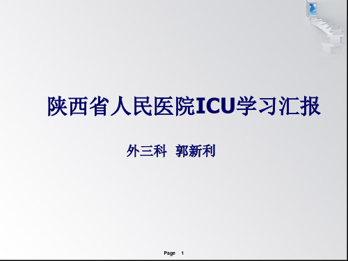 icu学习总结 ppt课件