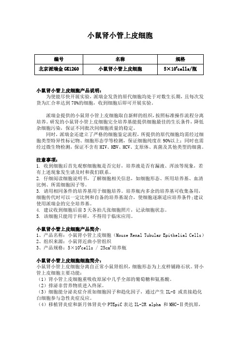 小鼠肾小管上皮细胞使用说明