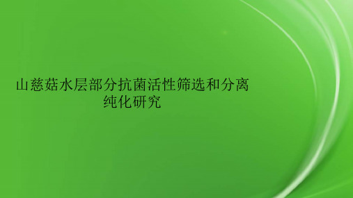 山慈菇水层部分抗菌活性筛选和分离纯化研究