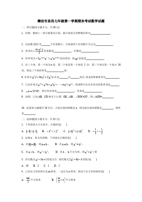 潍坊市昌邑七年级第一学期期末考试数学试题.doc