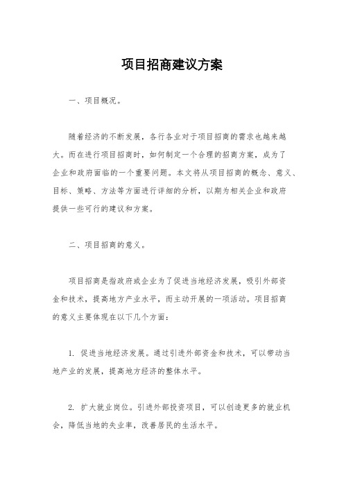 项目招商建议方案