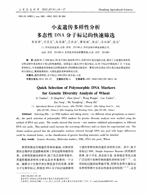 小麦遗传多样性分析多态性DNA分子标记的快速筛选