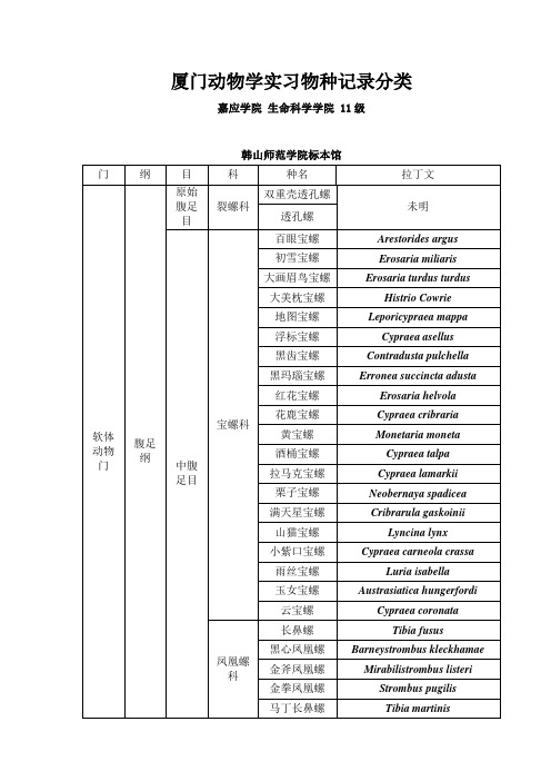 嘉应学院生命科学学院师范班厦门实习共享