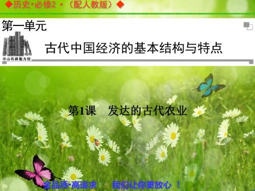 金版学案高中历史(人教必修2)同步辅导与检测课件：第1课《发达的古代农业》
