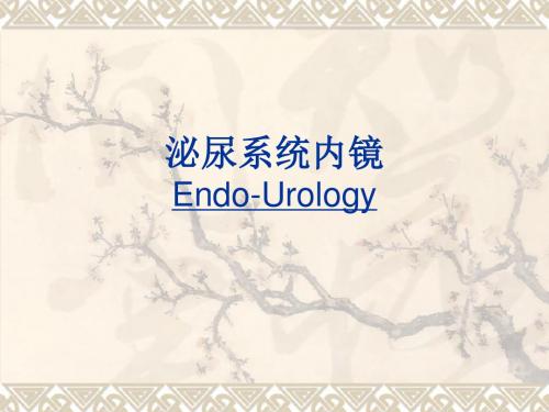 泌尿系统内镜PPT课件