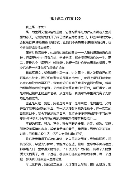 我上高二了作文800