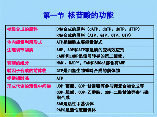 生物化学-核苷酸代谢(共41张PPT)