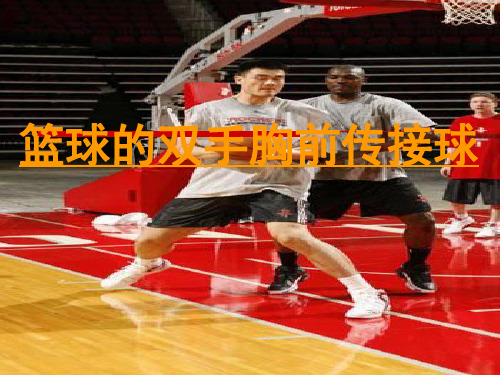 篮球实践课说课稿.ppt