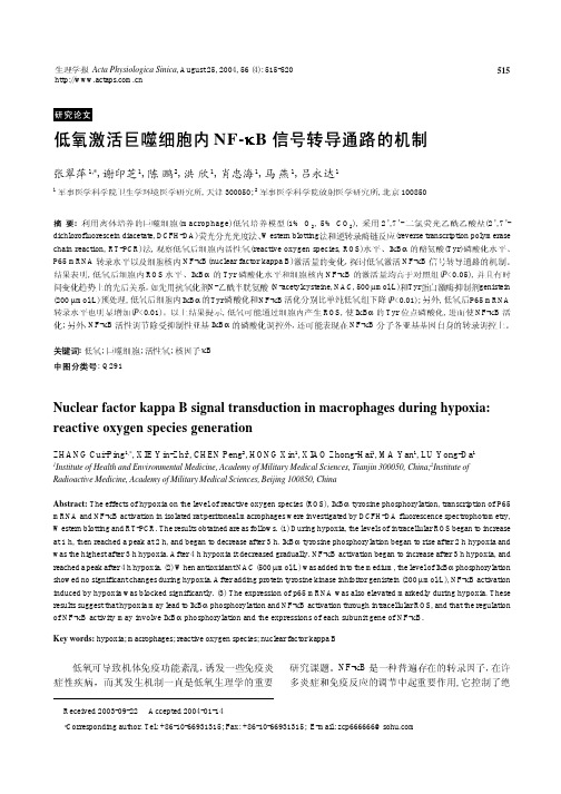 低氧激活巨噬细胞内NF-κB 信号转导通路的机制