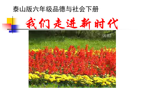 六年级下册品德PPT教学课件：3.走进新时代 泰山版