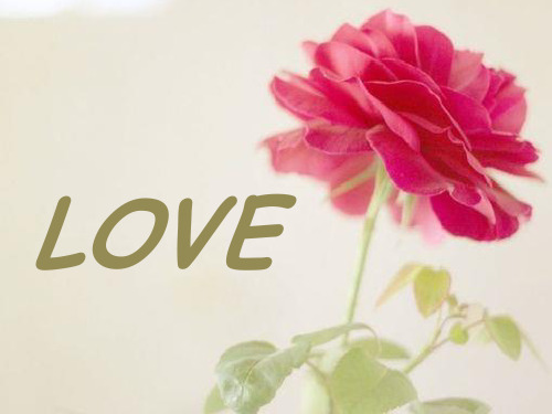 what is love-什么是爱
