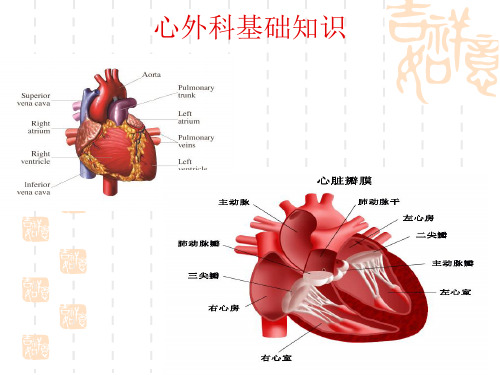 心外科基础知识