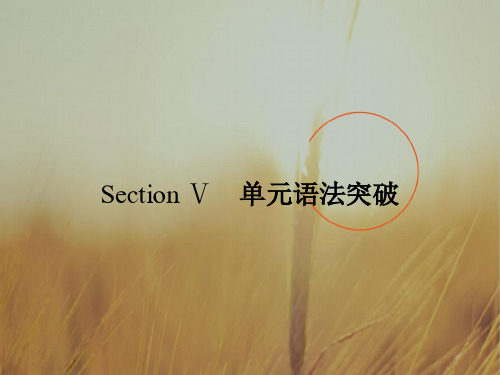 2018秋英语北师大版必修5课件：Unit 14 Careers 5